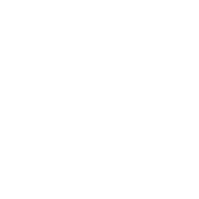 25-Day Passport
